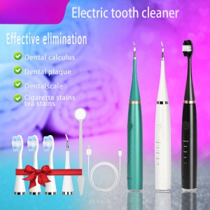 Zhilin ZL-PRT01 Plaque Remover for Teeth Cleaning Kit, Remover for Teeth Dental Tools with 5 Adjustable Modes 2 Replaceable Clean Heads Safe for Adult Kids