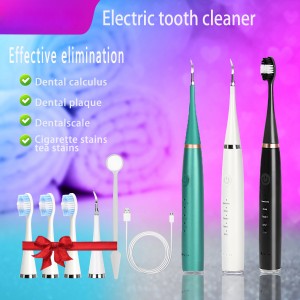 Zhilin ZL-PRT01 Removedor de placa para kit de limpieza de dientes, removedor para herramientas dentales de dientes con 5 modos ajustables 2 cabezales de limpieza reemplazables Seguro para niños adultos