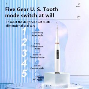 Zhilin ZL-156X Outil professionnel de suppression de la plaque, kit de nettoyage des dents avec miroir buccal, outil de nettoyage électrique, kit de nettoyage des dents étanche avec 3 modes USB, nettoyeur de dents rechargeable pour adultes